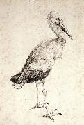 Albrecht Durer The Stork USA oil painting artist
